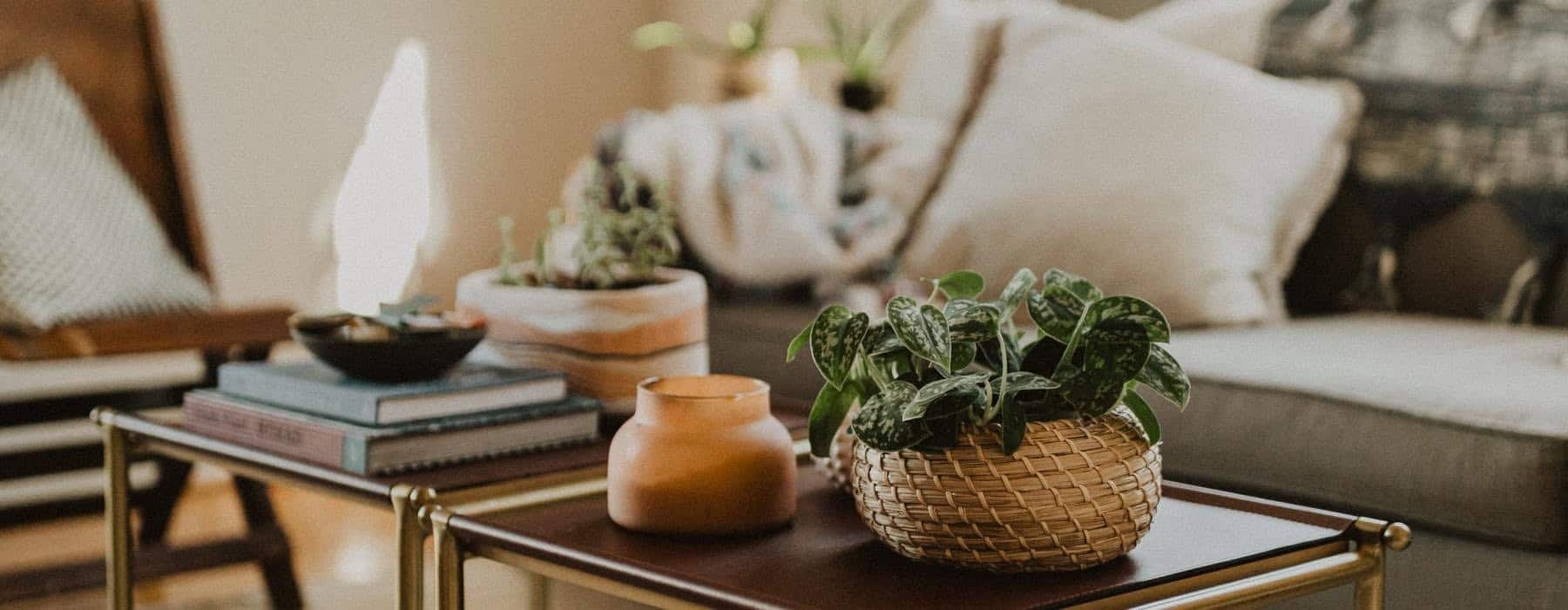 a table with a glass coffee table and a couch with a basket of plants