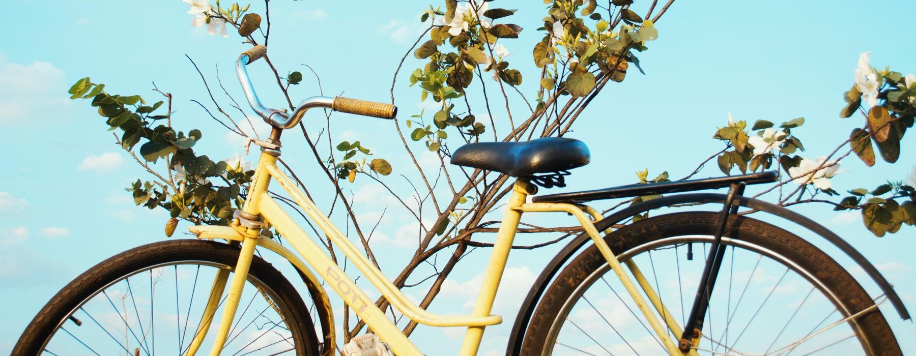 a bicycle parked in front of a tree with flowers